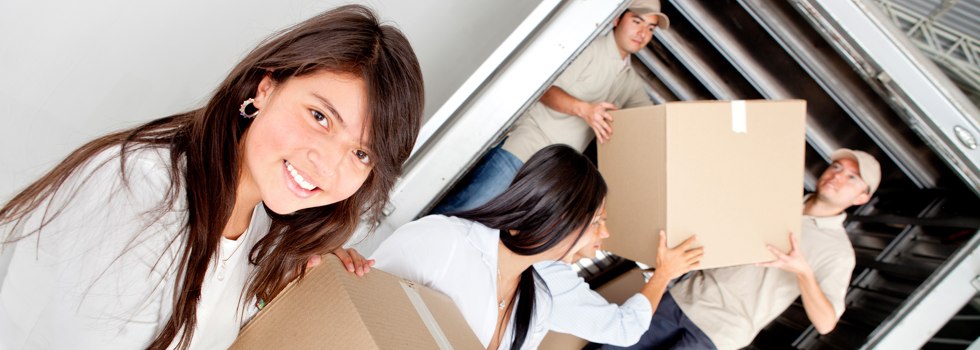 Professional Removalists Tabooba